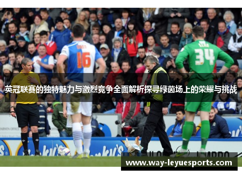 英冠联赛的独特魅力与激烈竞争全面解析探寻绿茵场上的荣耀与挑战 英冠联赛的独特魅力与激烈竞争全面解析探寻绿茵场上的荣耀与挑战