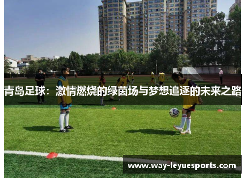 青岛足球：激情燃烧的绿茵场与梦想追逐的未来之路