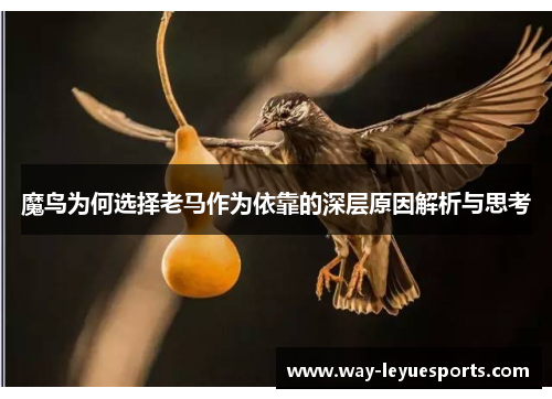 魔鸟为何选择老马作为依靠的深层原因解析与思考