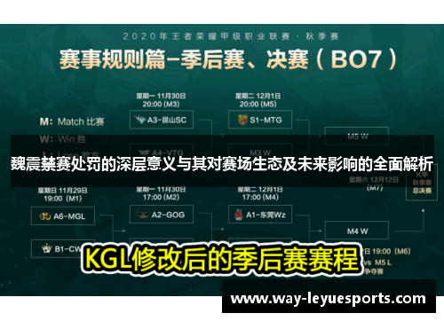 魏震禁赛处罚的深层意义与其对赛场生态及未来影响的全面解析